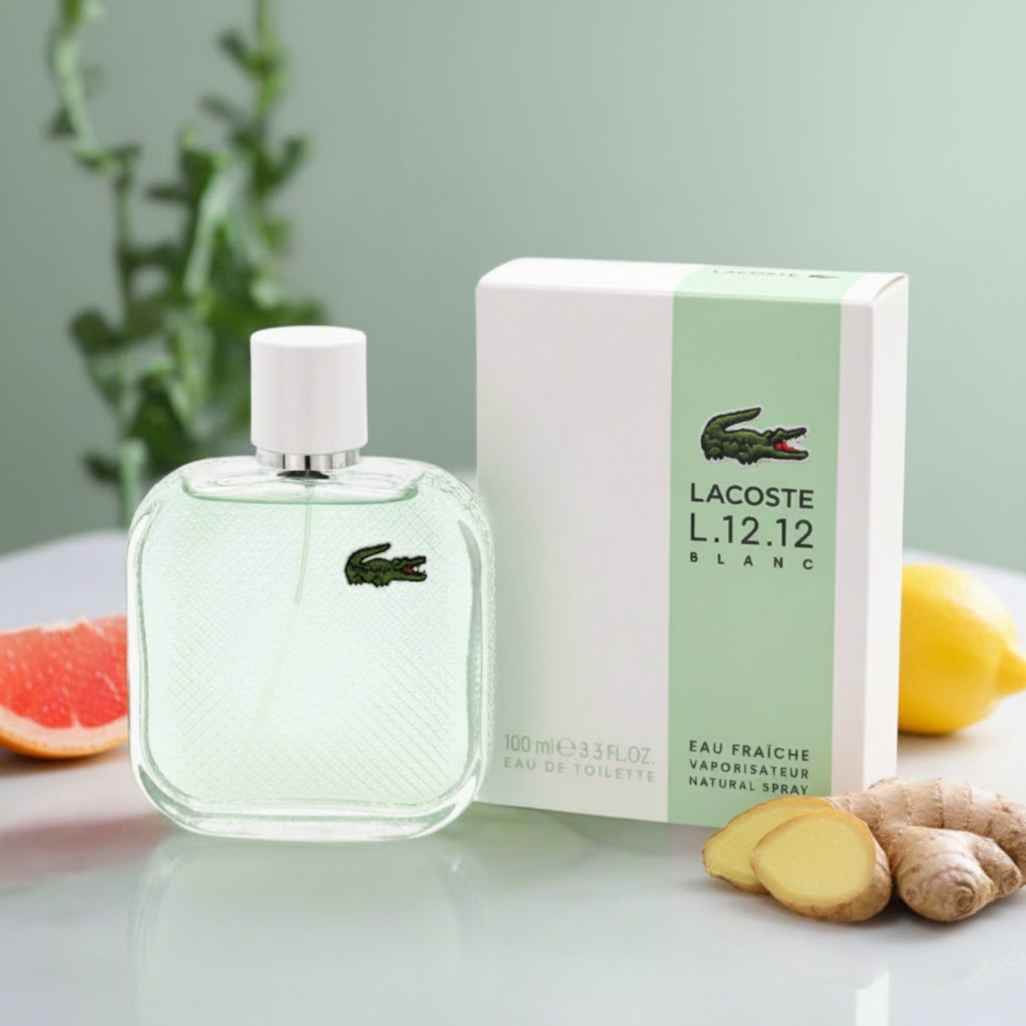 Lacoste L.12.12 Blanc perfume bottle and packaging on a reflective surface with a plant in the background.