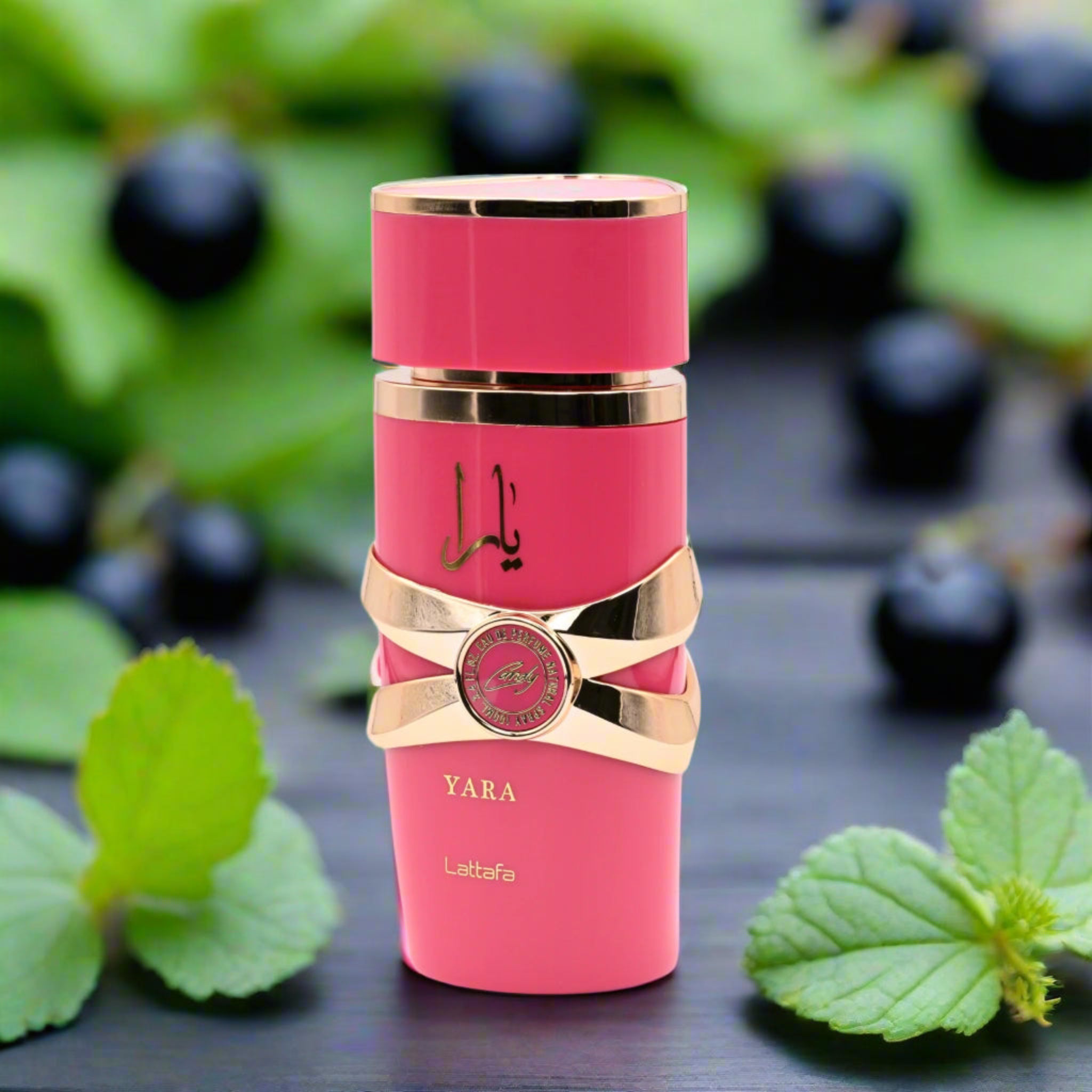 Yara Candy by Lattafa perfume for women EDP 3.3 / 3.4 oz New in Box