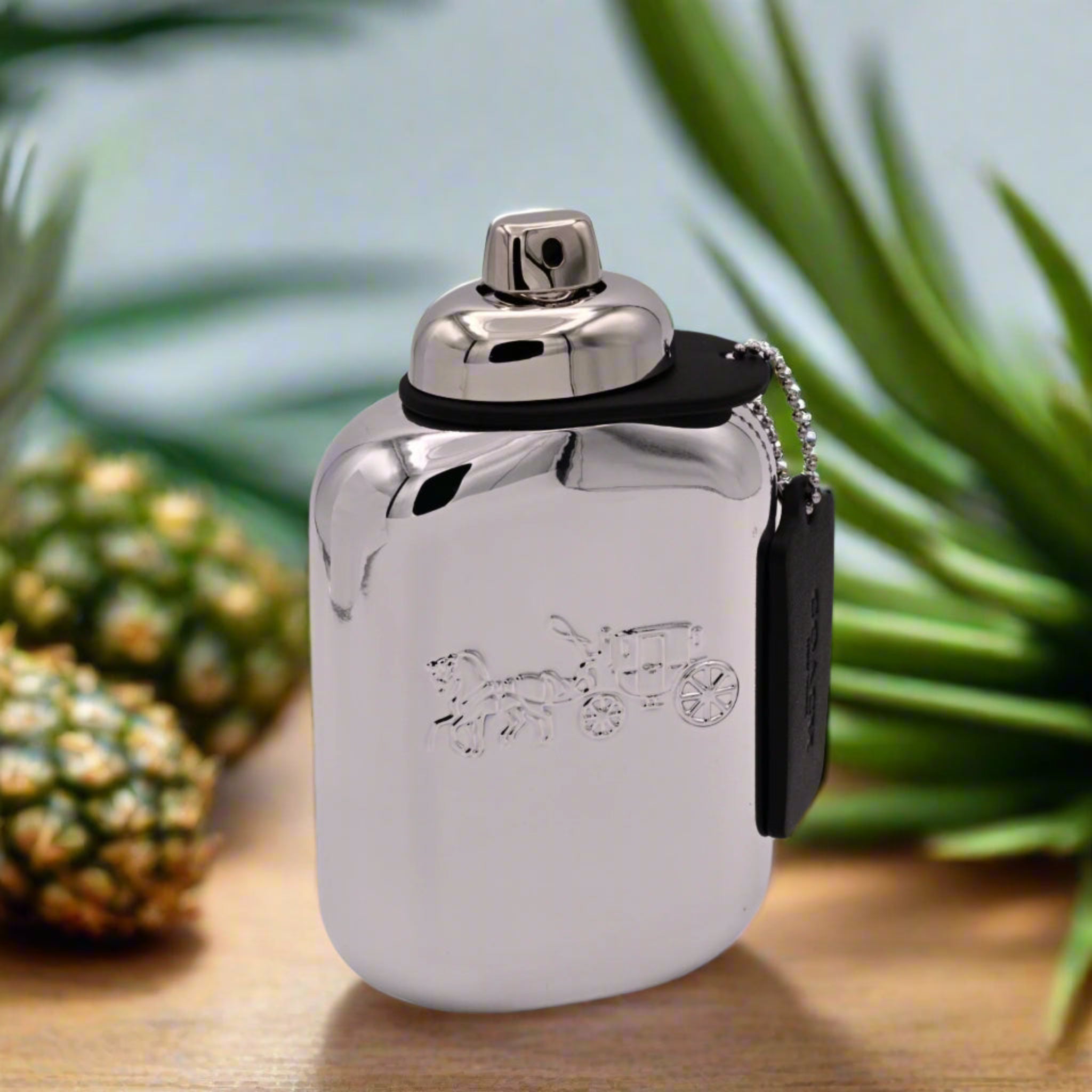 Silver flask with engraved design on a wooden surface with plants in the background