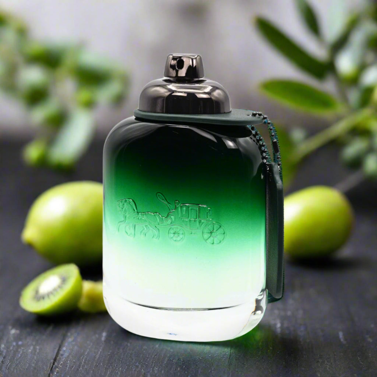 Coach Green by Coach cologne for men EDT 3.3 /3.4 oz New in Box 3386460141253
