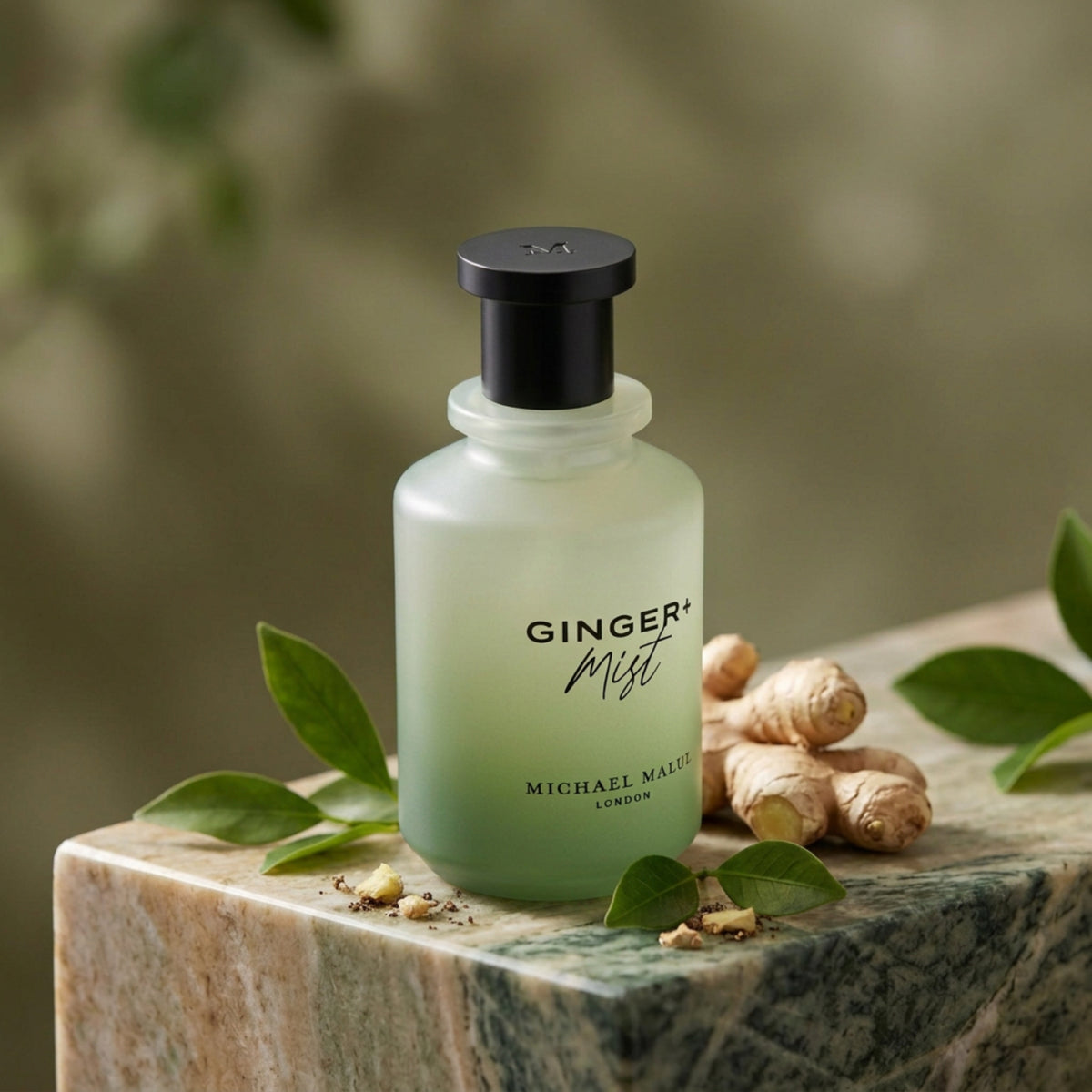 Ginger+Mist by Michael Malul for unisex EDP 3.3 / 3.4 oz New in Box 810181100624