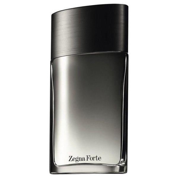 ZEGNA FORTE Ermenegildo Zegna men cologne edt 3.4 oz 3.3 NEW TESTER