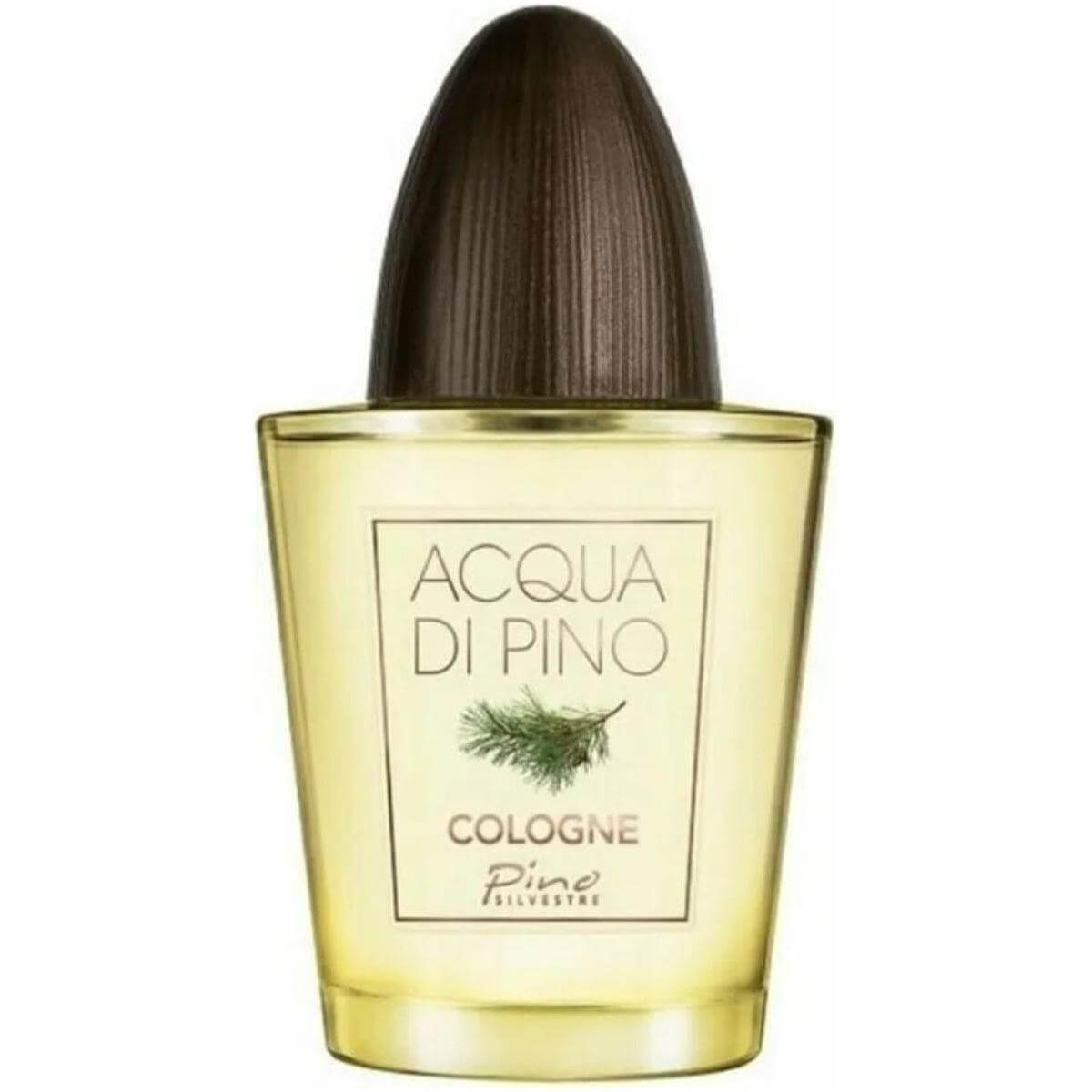 Acqua Di Pino Concentree by Pino Silvestre for men EDC 4.2 oz New Tester 679602651226