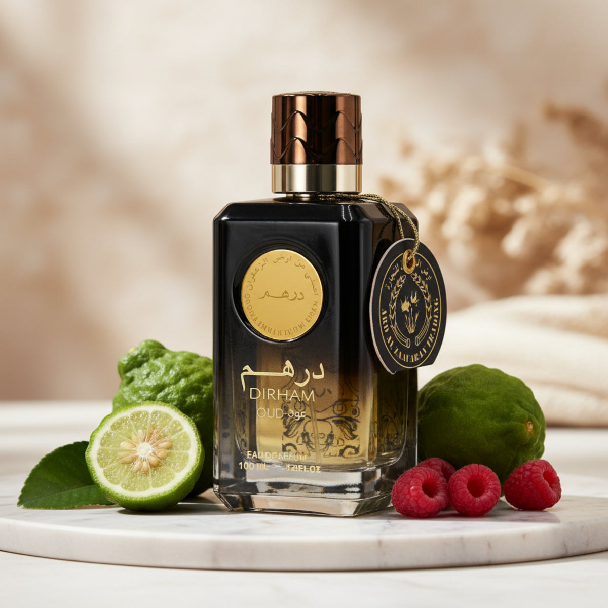 Dirham Oud by Ard Al Zaafaran perfume for unisex EDP 3.3 / 3.4 oz New in Box 6423080608432