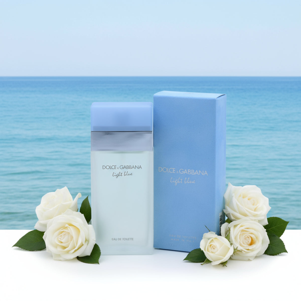 DOLCE & GABBANA Light Blue EDT 3.3 / 3.4 oz NEW IN BOX 8057971180318