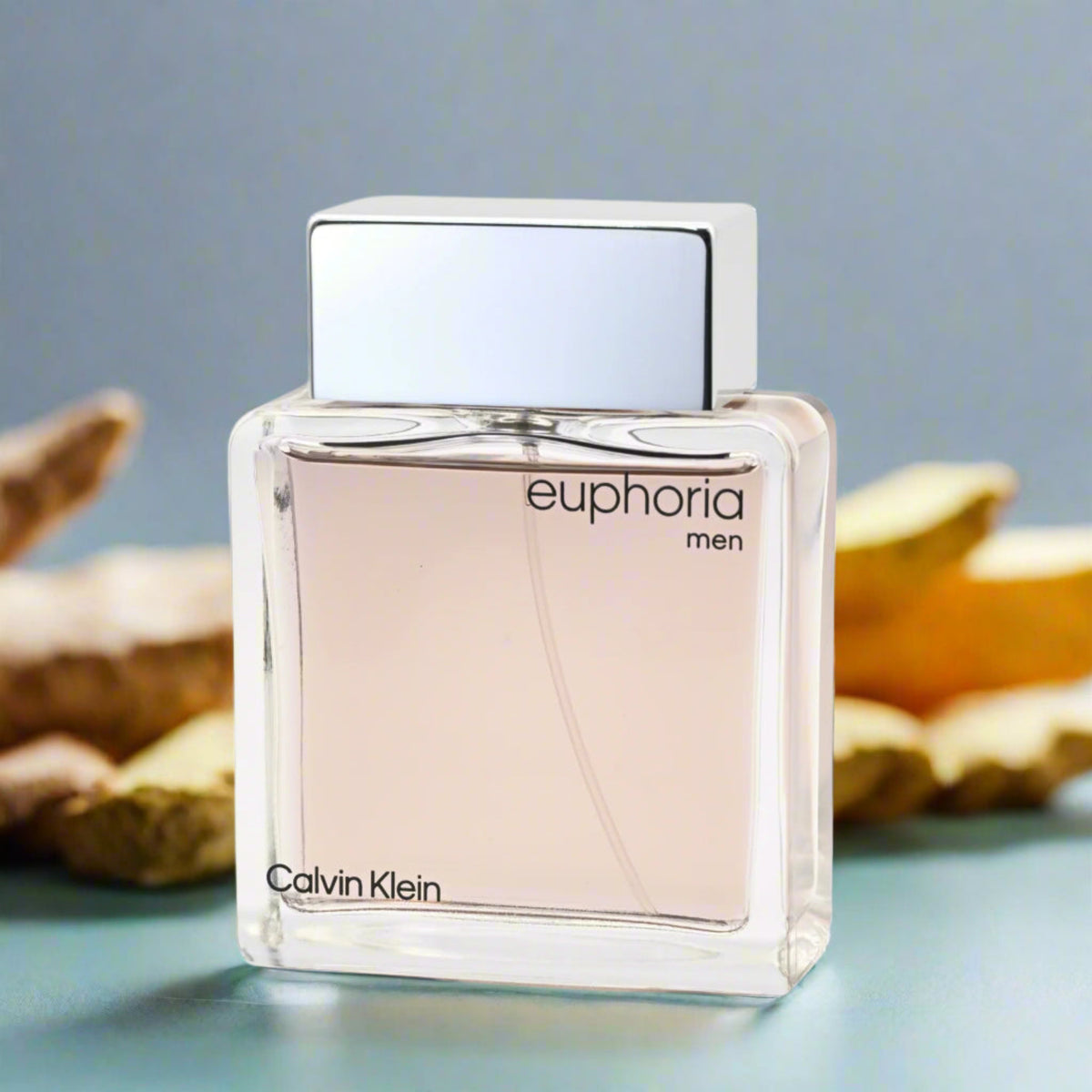 EUPHORIA MEN Calvin Klein 3.3 / 3.4 oz EDT Cologne for Men NEW IN BOX 088300178278