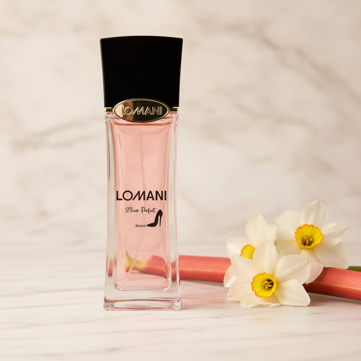 Lomani Elixir Perfect Eau de Parfum (EDP) Spray for Women 3.3 oz / 100 ml 3610400037369