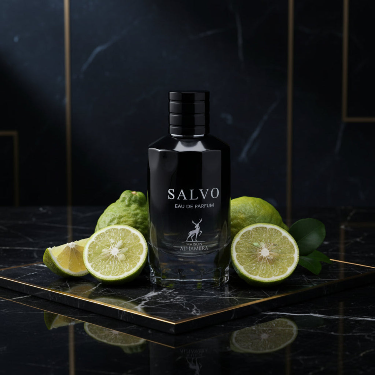 Salvo by Maison Alhambra cologne for men EDP 3.3 / 3.4 oz New in Box 6291107459363